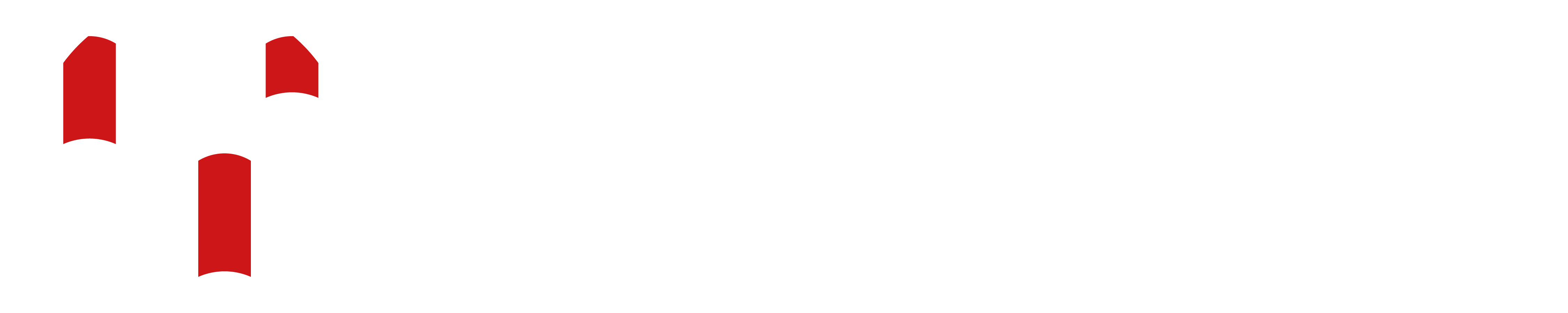 SOS - Tetőszervíz