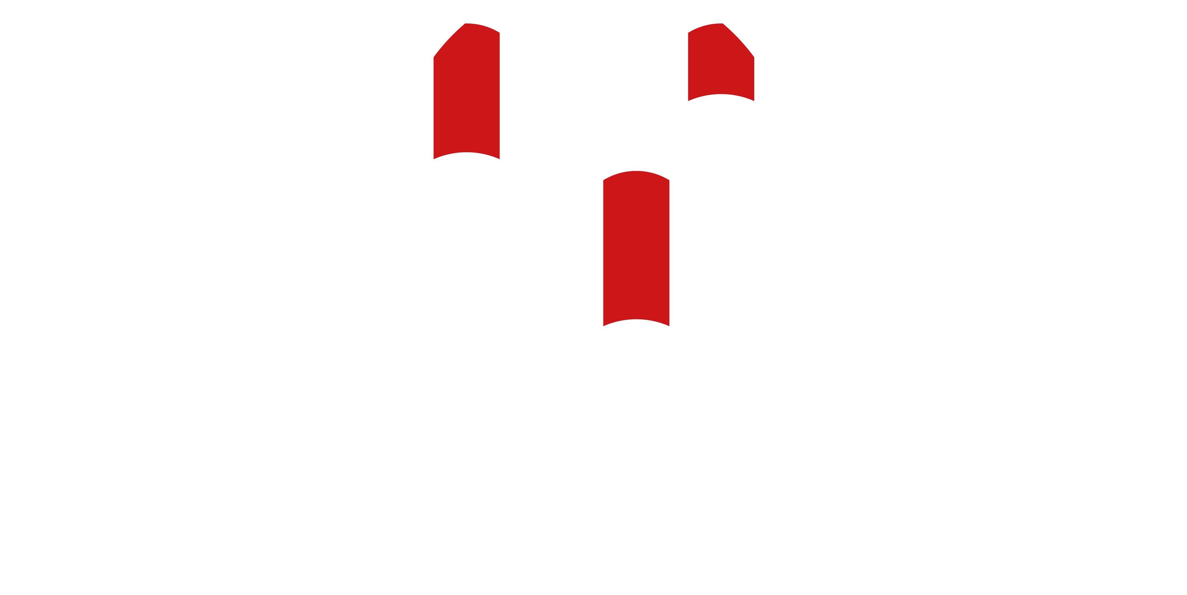 SOS - Tetőszervíz